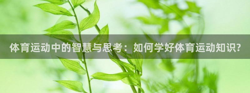 必一运动红标版本：体育运动中的智慧与思考：如何学好体育运动知识?