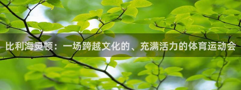 必一运动B-sports官方网站：比利海灵顿：一场跨越文化的、充满活力的体育运动会