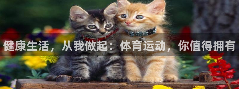 关键词