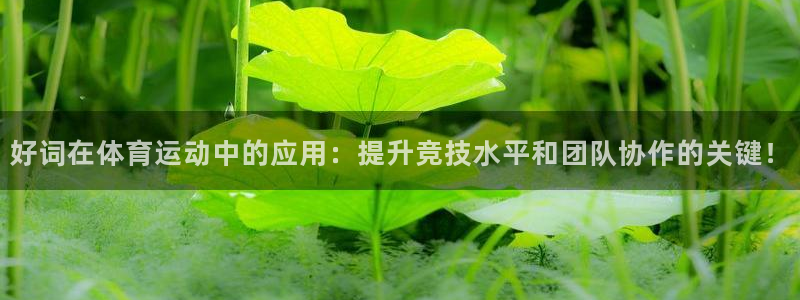 bsports必一运动