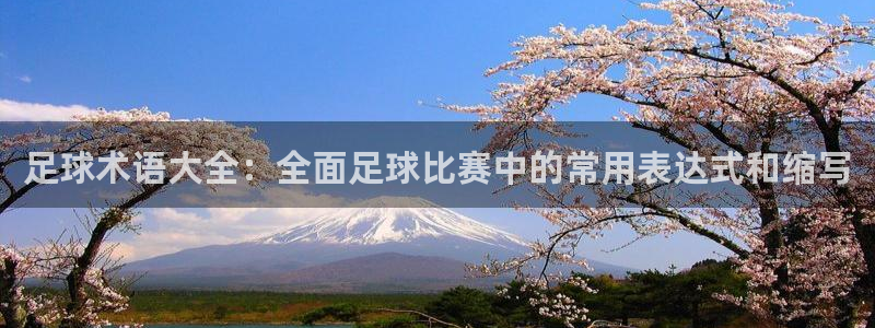必一运动体育网页