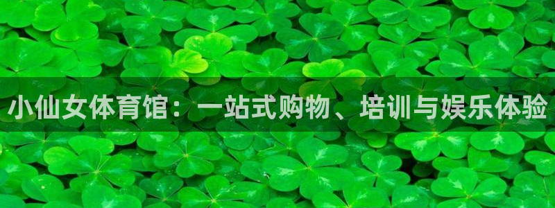 必一运动app怎么样：小仙女体育馆：一站式购物、培训与娱乐体验